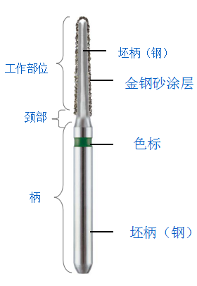 金钢砂车针结构横切图